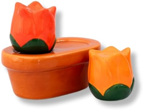 bando Novelty Tulip Salt Pepper Shakers Set