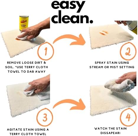 THE AMAZING WHIP-IT Stain Remover Kit