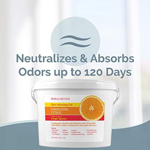 SMELLS BEGONE 1-Gallon Odor Absorber Gel - Citrus Scent 1