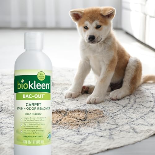 Biokleen Bac-Out Enzymatic Stain Remover 2 Pack with Towel