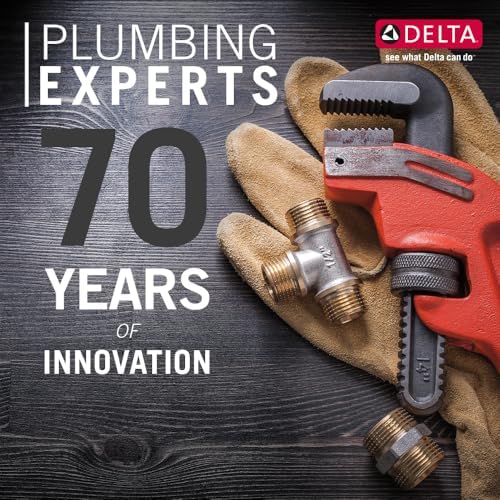 Delta Faucet 2-in-1 Dual Shower Head with Handheld Spray and Hose