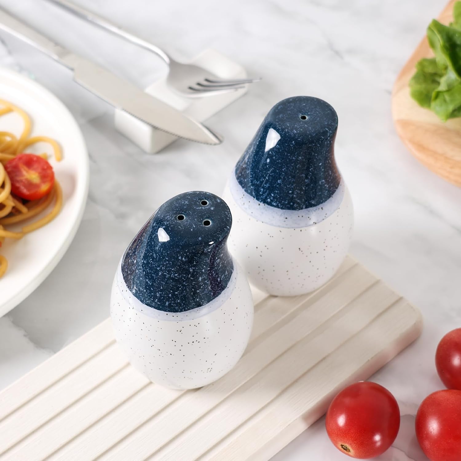 ZEBERBO Ceramic Salt Pepper Shaker Set Blue White
