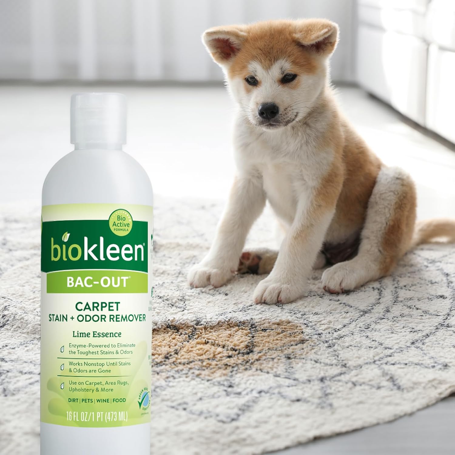 Biokleen Bac-Out Enzymatic Stain Remover 2 Pack with Towel