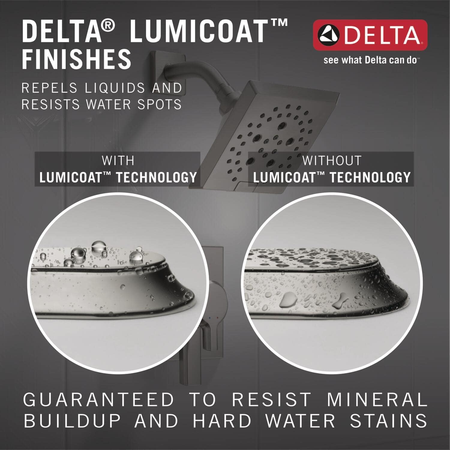 Delta In2ition Dual Shower Head with Handheld Spray