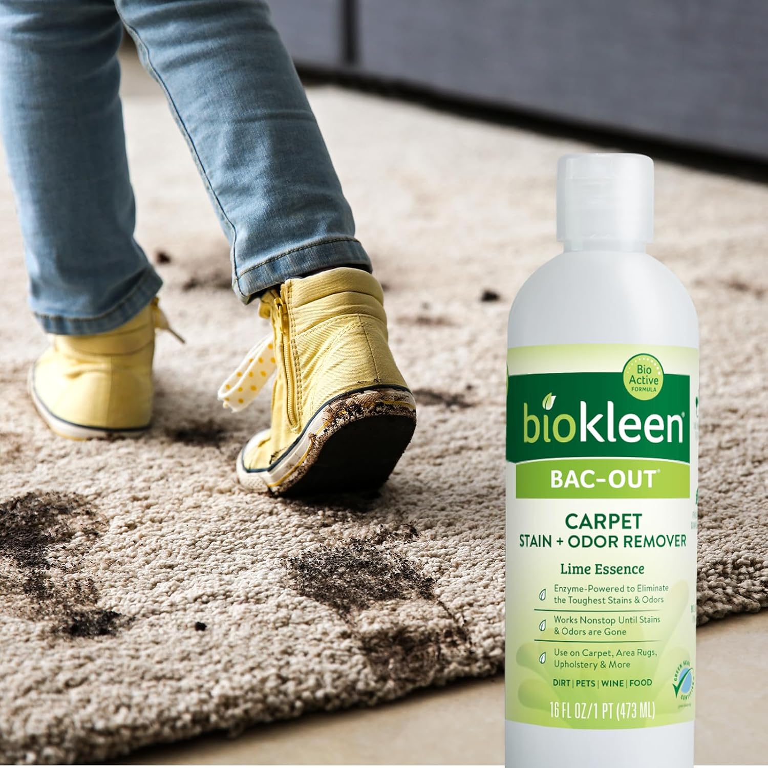 Biokleen Bac-Out Enzymatic Stain Remover 2 Pack with Towel