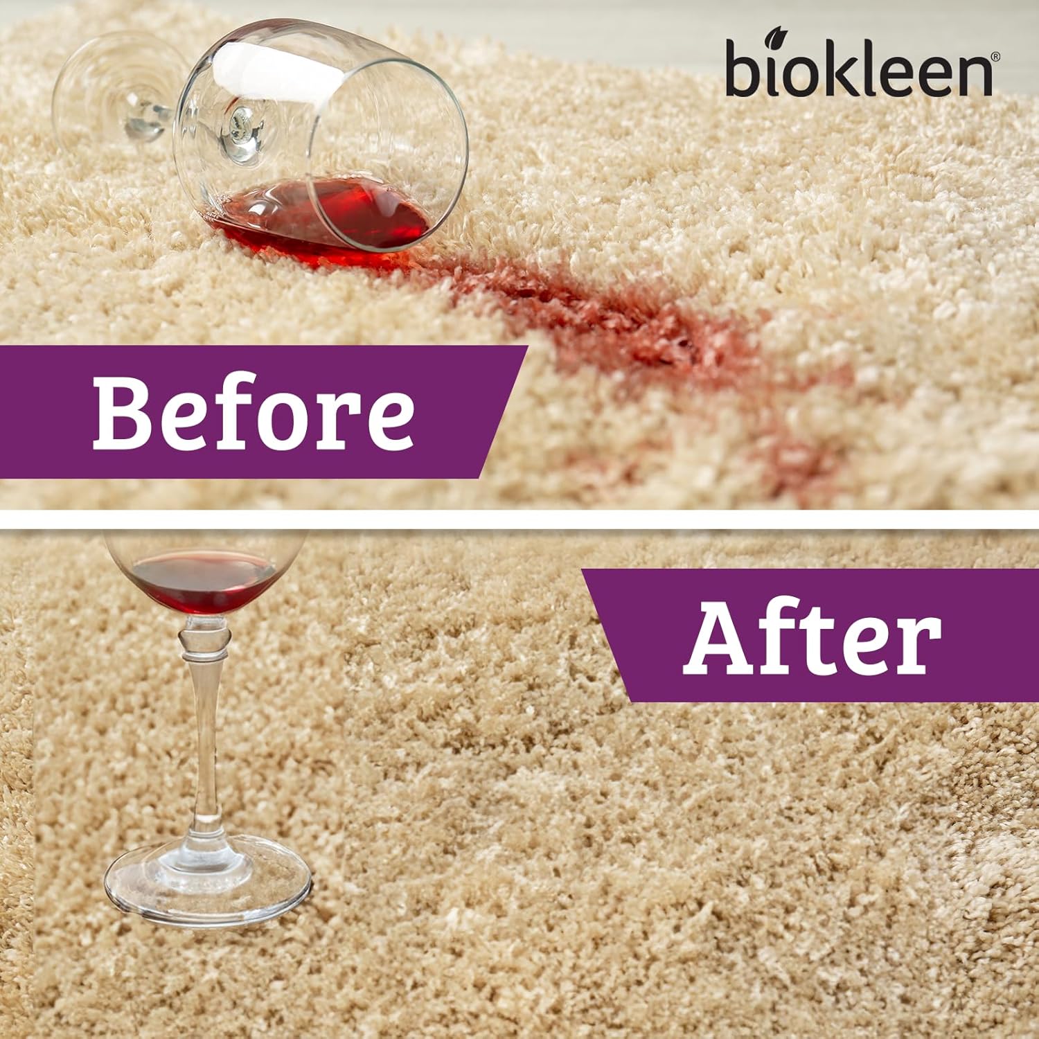 Biokleen Bac-Out Enzymatic Stain Remover 2 Pack with Towel