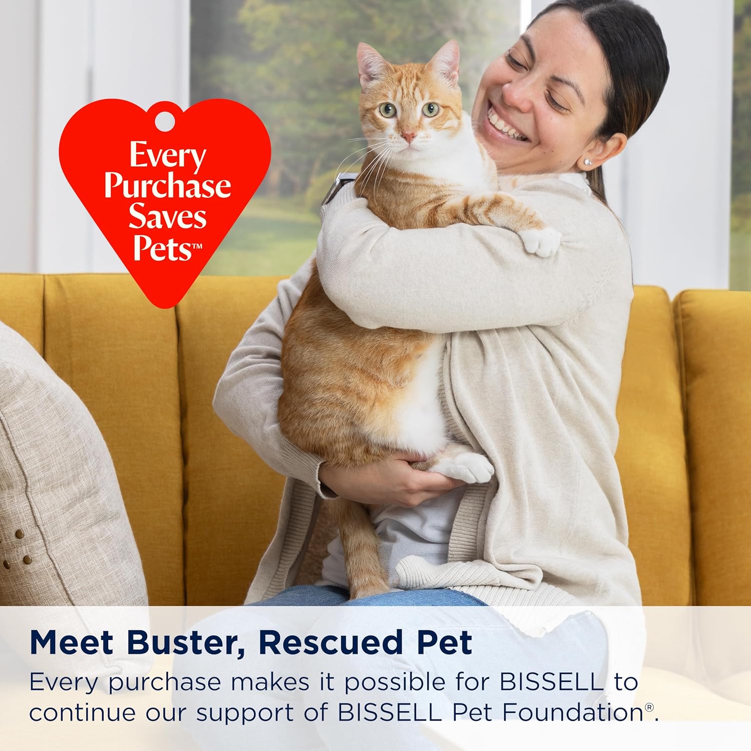 Bissell Little Green Proheat Pet Deep Cleaner
