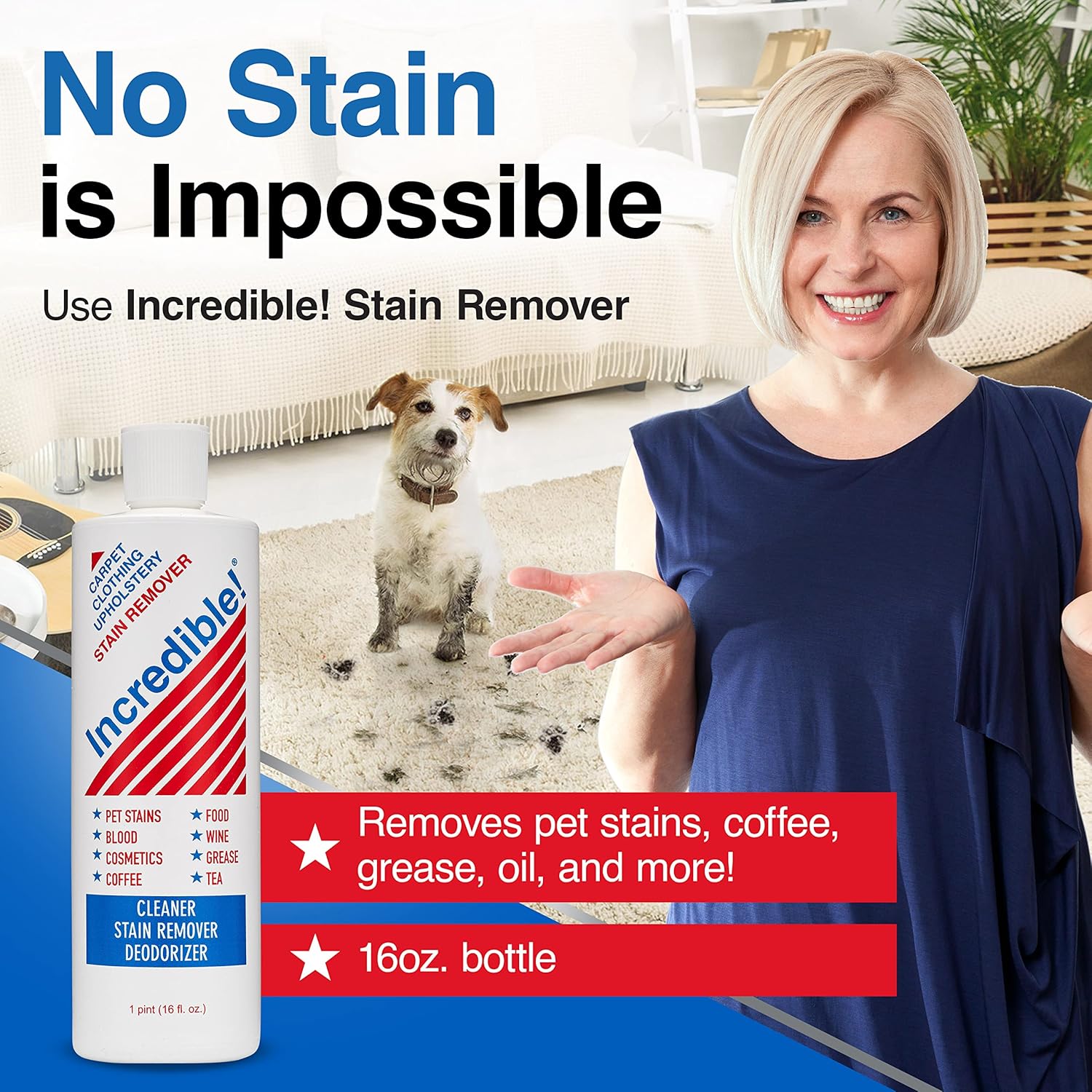 Incredible Stain Remover Pack of 6 16oz